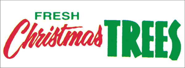 Fresh christmas tree banner